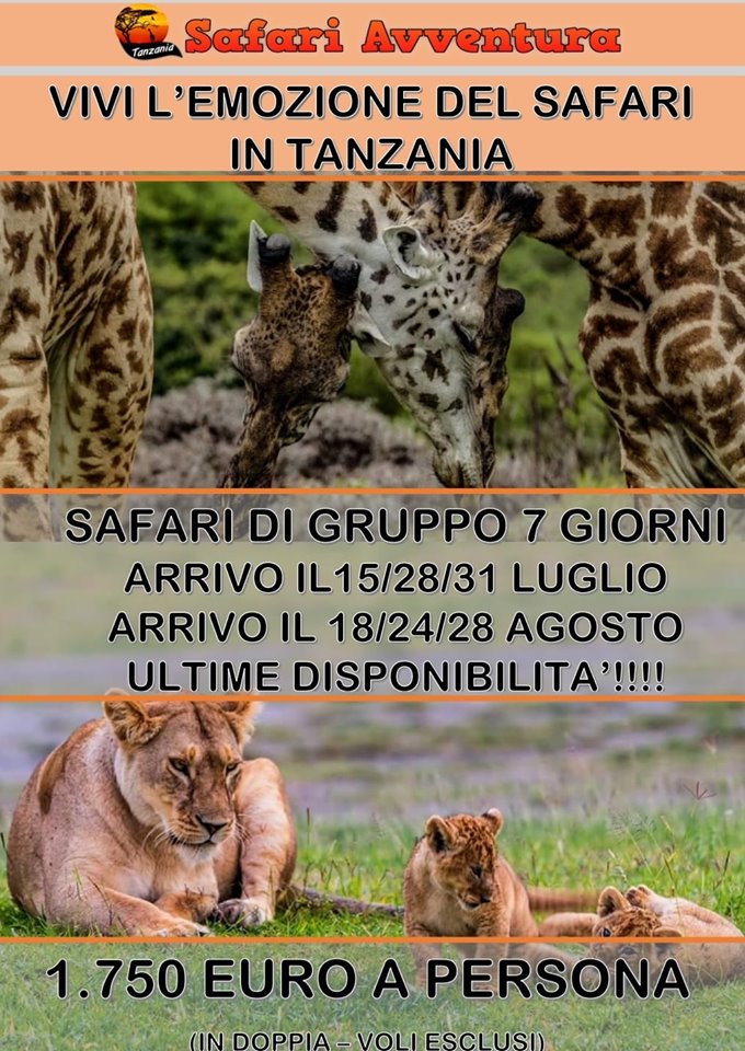 Safari Avventura Tour Operator in Tanzania