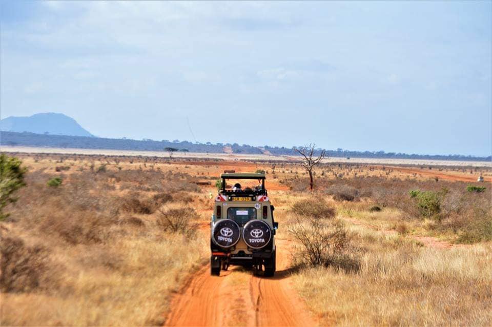 Safari Kenya con Uovo