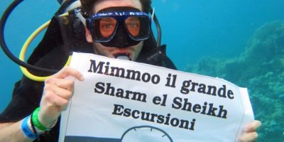Mimmoo Il Grande Sharm el Sheikh Escursioni