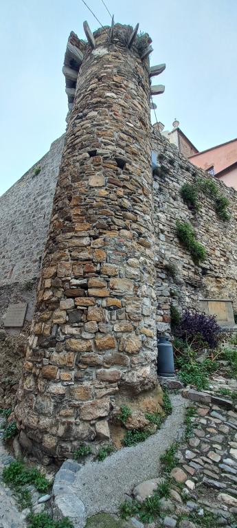 Castellaro - Mura del castello