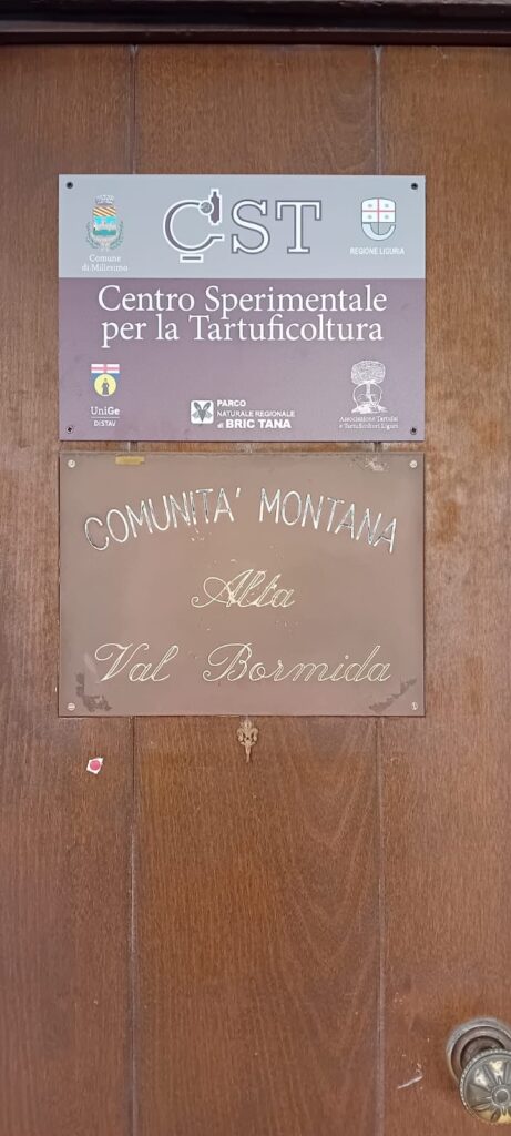 Millesimo - tartufo