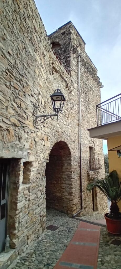 Cipressa