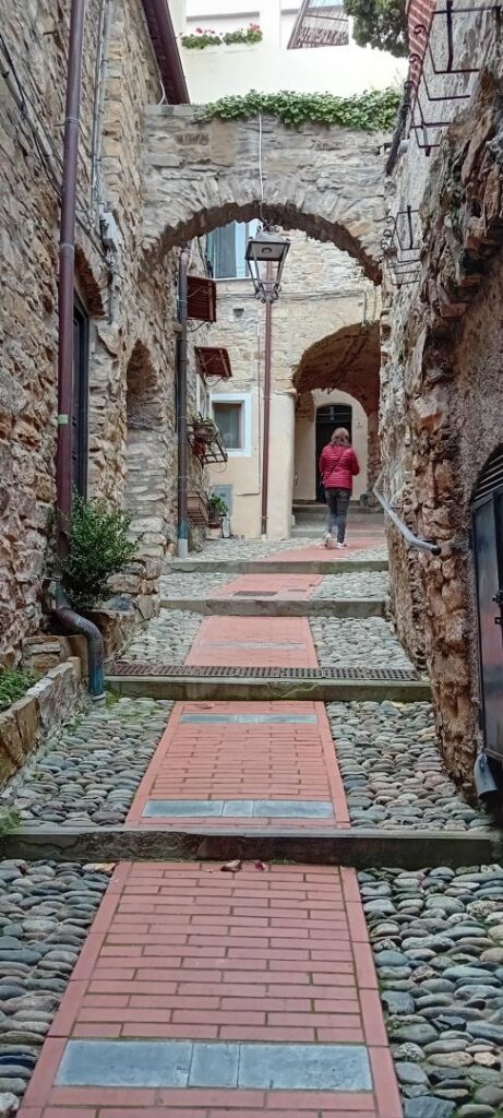 Cipressa