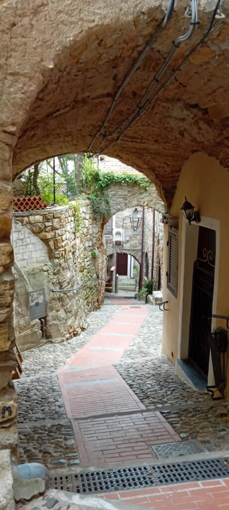 Cipressa