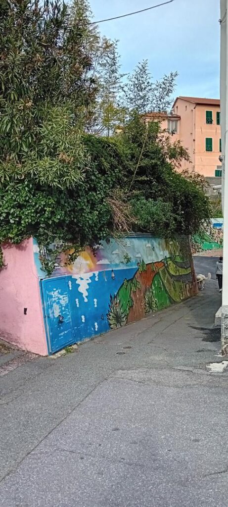 Cipressa