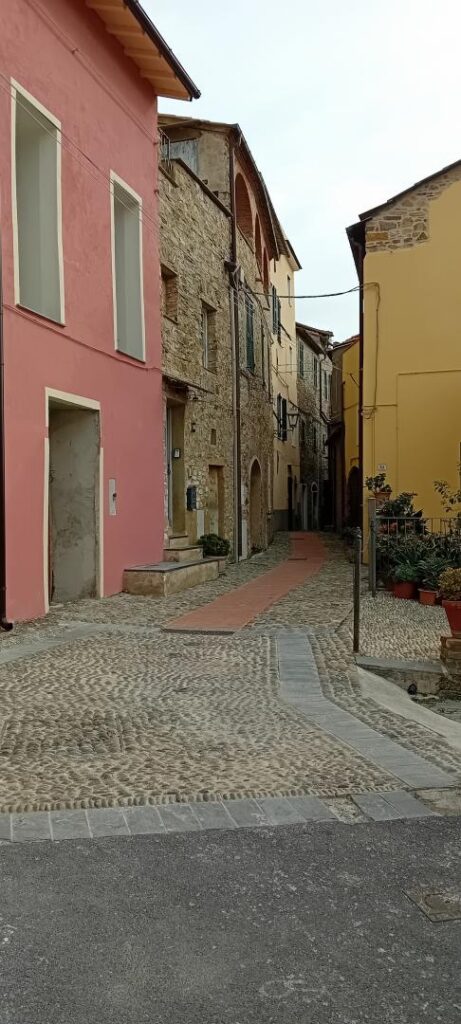 Cipressa