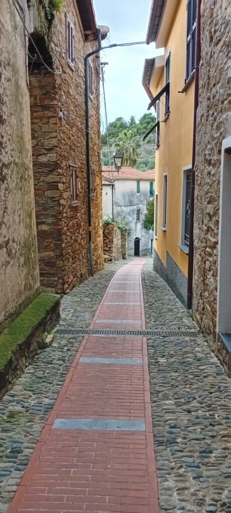 Cipressa