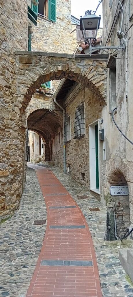 Cipressa