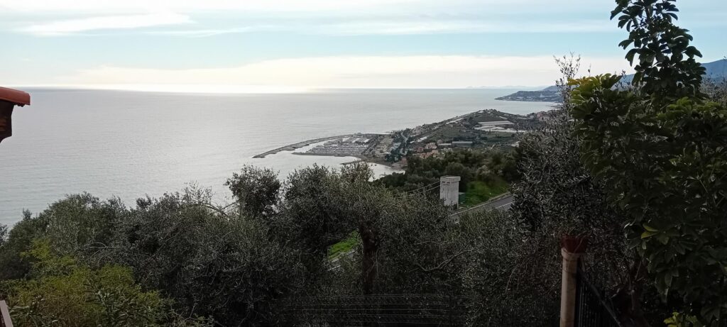 Cipressa